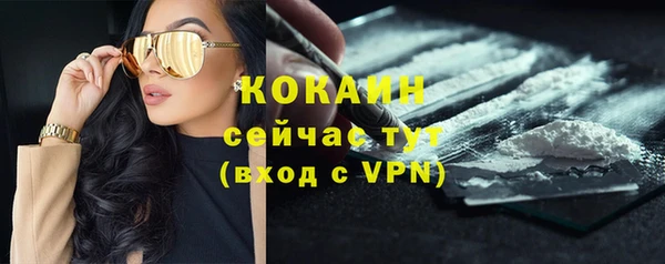 шишки Красноперекопск