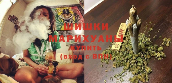 ПСИЛОЦИБИНОВЫЕ ГРИБЫ Кукмор