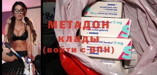 прущие грибы Краснотурьинск
