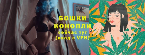 прущие грибы Краснотурьинск