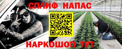 стафф Лесосибирск