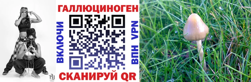 Псилоцибиновые грибы GOLDEN TEACHER  Усинск 