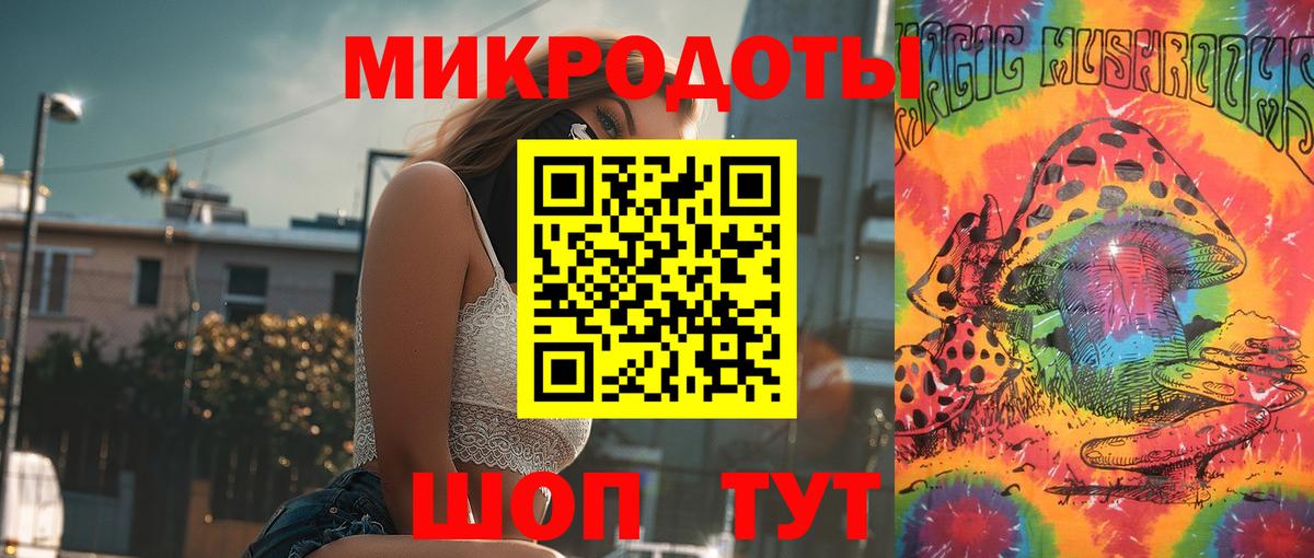 Галлюциногенные грибы Psilocybe Усинск