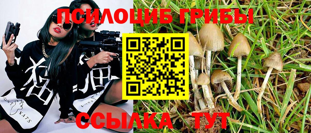 Галлюциногенные грибы мухоморы  как найти   Усинск  Вход с VPN  Галлюциногенные грибы Cubensis 